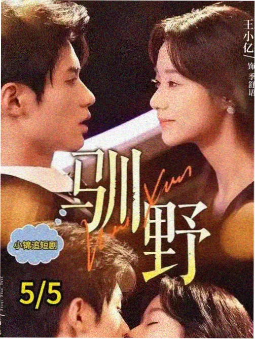 纸鸢向北年代剧